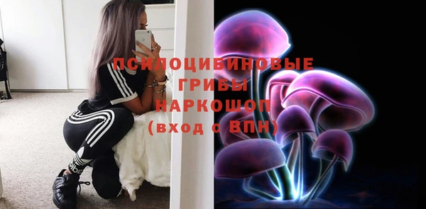 тгк Новодвинск
