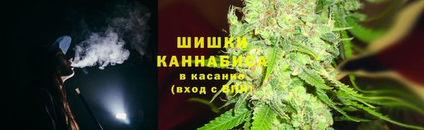 СК Новозыбков