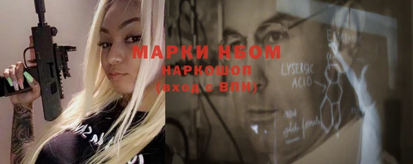 СК Новозыбков