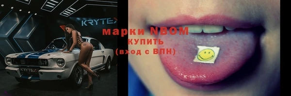 тгк Новодвинск