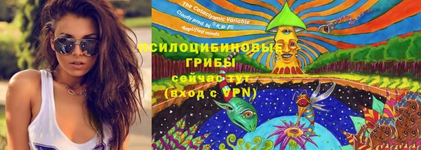 СК Новозыбков