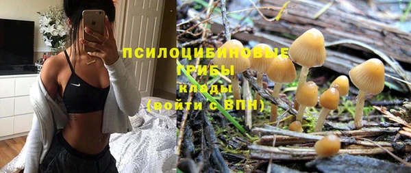 тгк Новодвинск