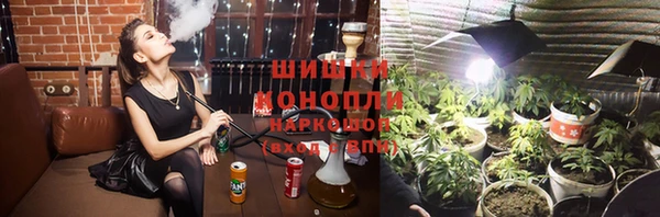 СК Новозыбков