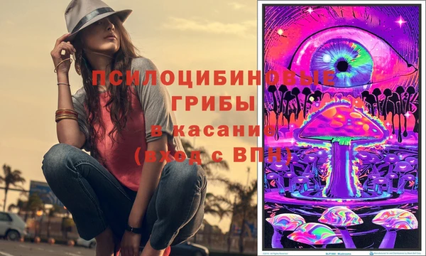 тгк Новодвинск