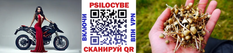 Галлюциногенные грибы ЛСД  Купить  Черемхово 